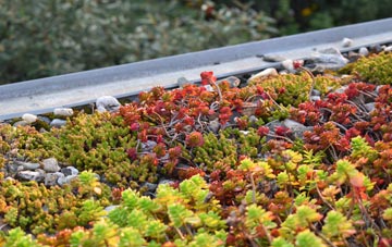 the cost of Aultvaich green roof installation